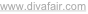 shapeimage_1_link_12